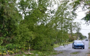 Bejisa : De la casse dans le Nord et dans l'Est