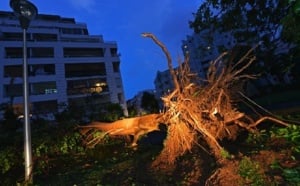 Cyclone Bejisa : Retour en images
