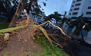 Cyclone Bejisa : Retour en images