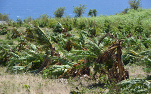 La Réunion bien amochée: Retour en images