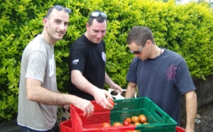 Plaine des Cafres : Les jeunes agriculteurs s'entraident