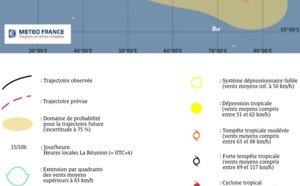 Guito à 1.910 km des côtes réunionnaises