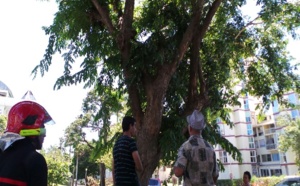 Un membre du collectif Eveil Citoyen 974 menace de se pendre à un arbre