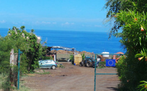 Portail Saint-Leu: 1200 ananas disparaissent d'un champ