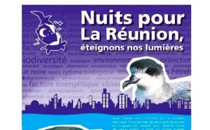 Dix nuits sans lumières pour protéger les pétrels