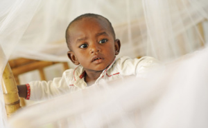 Pique-nique humanitaire au profit d'Aïna Enfance et Avenir à l'Ermitage
