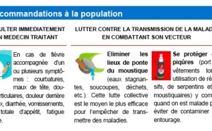 Dengue: 11 cas depuis le début de l'année, dont cinq autochtones