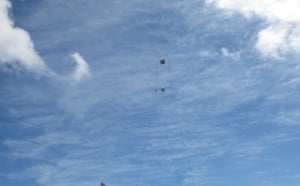 Un drôle d'oiseau dans le ciel de La Réunion