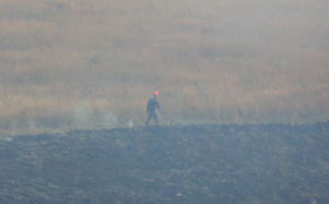 Feu de broussailles dans la savane de Saint-Paul