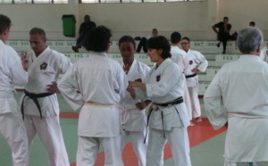 Un stage international de karaté Goju Ryu ce week-end