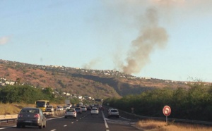 Important feu de broussailles dans les hauts de Saint-Paul