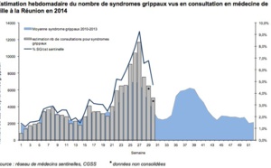 Fin de l'épidémie de grippe à La Réunion