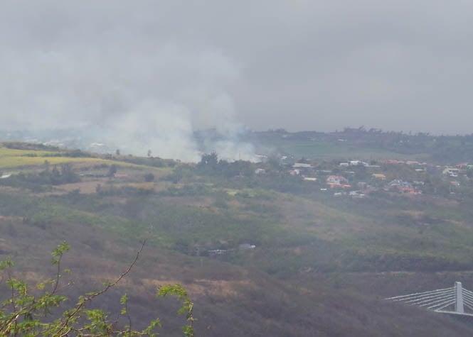 Trois Bassins: 4.000 m2 de cannes dévastés par le feu