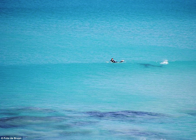Australie : Un surfeur arrive à fuir in-extremis l'attaque d'un requin