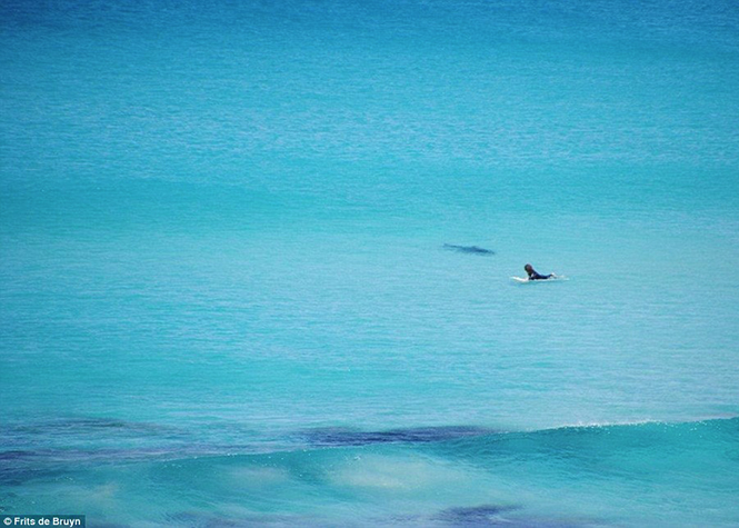 Australie : Un surfeur arrive à fuir in-extremis l'attaque d'un requin