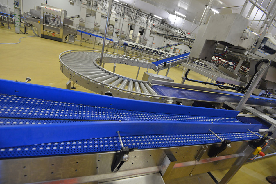 Etang-Salé: Un abattoir ultra moderne pour traiter 220.000 volailles par semaine