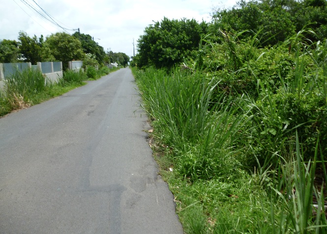 Jacky The Seng : Les rues et chemins de Saint-André à l'abandon !
