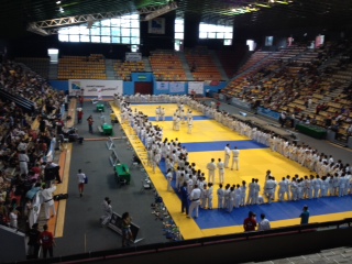 Teddy Riner en showman au stade de l'Est