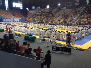 Teddy Riner en showman au stade de l'Est