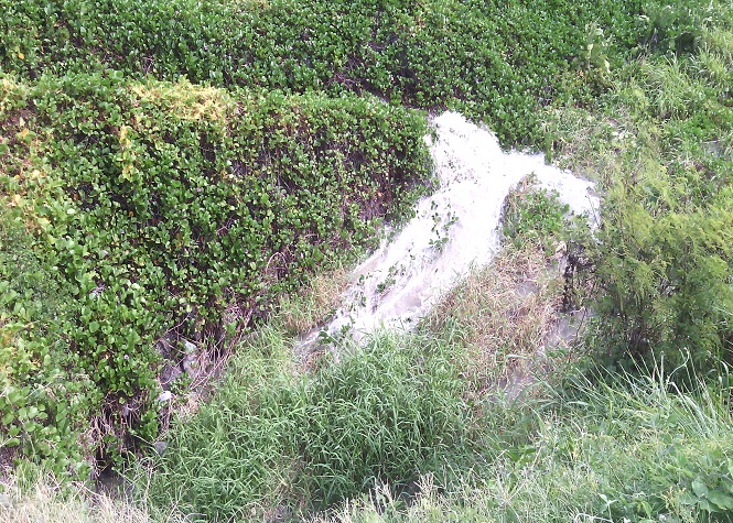 St-Pierre: De l'eau usée déversée en mer, la baignade interdite