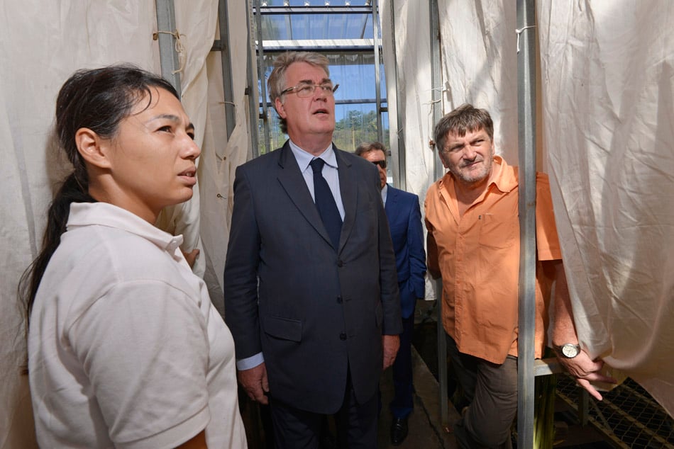 Le président du CESE vient constater la réalité du terrain ultramarin