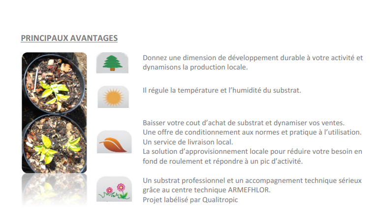 Innovation: Des