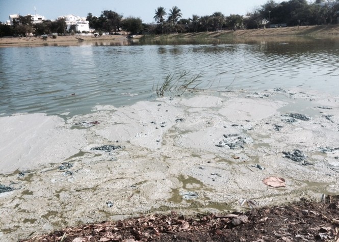 Etang Salé : Le bassin de la cité Pétrole pollué par de la peinture ?