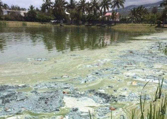 Etang-Salé: Le plan d'eau à nouveau souillé