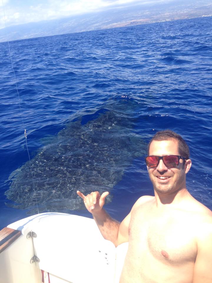 Rencontre avec un requin baleine de 7m au large de Boucan
