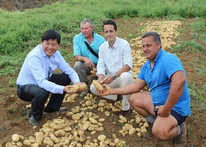 Du champ à l'assiette: Leclerc mise sur la production locale