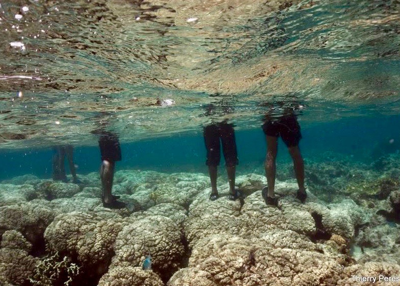 Des pêcheurs dans la passe de l'Ermitage