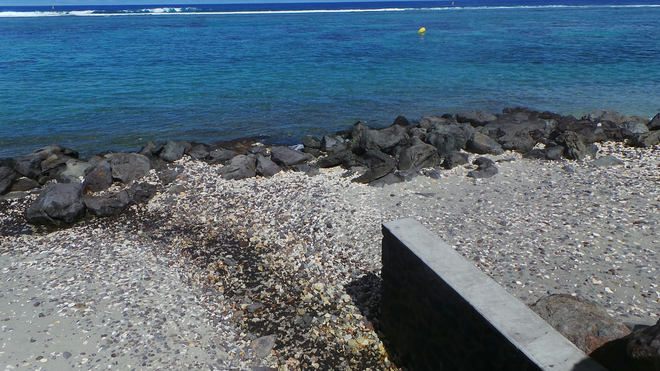 Pollution, Risque requin: La Réunion Ecolo dénonce l'inaction de Thierry Robert