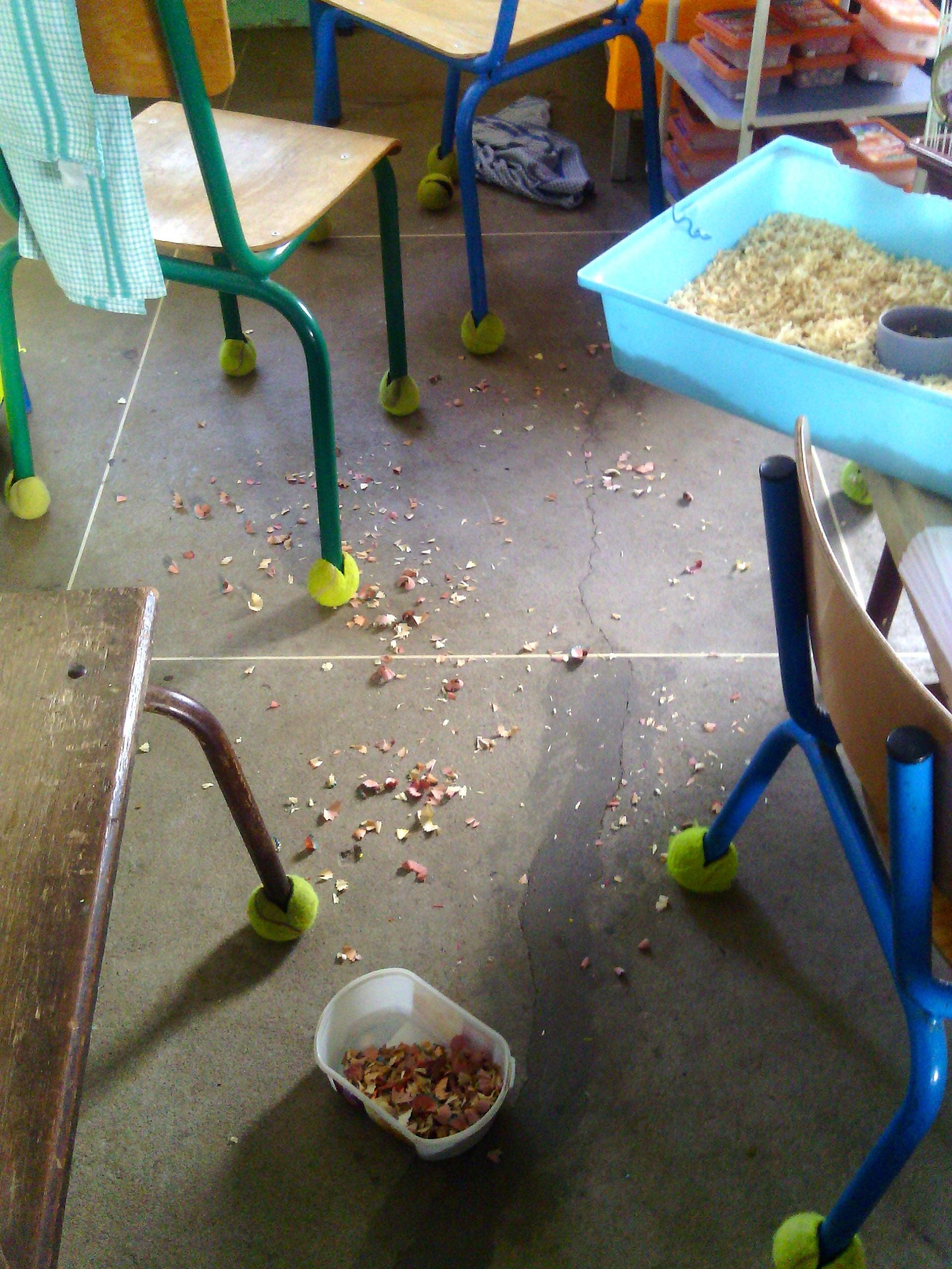 Ecole Macé à St-Louis: Les classes taguées, des animaux tués