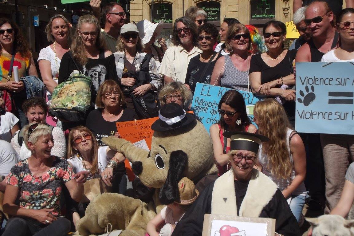 Aix-en-Provence: Un rassemblement pour les chiens et chats des Dom-Tom