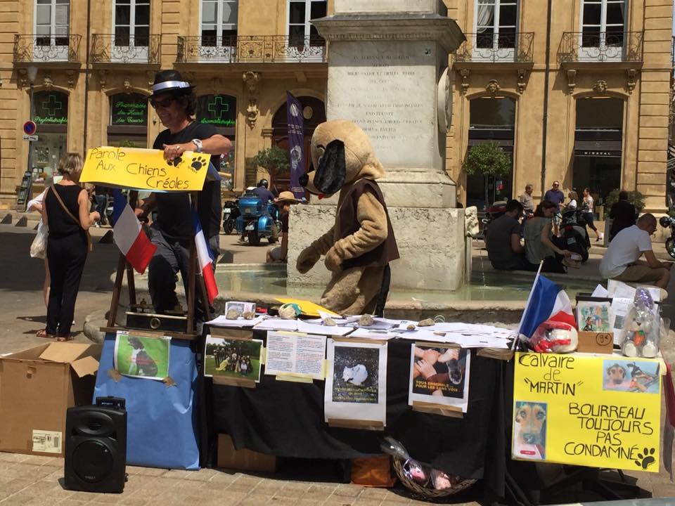 Aix-en-Provence: Un rassemblement pour les chiens et chats des Dom-Tom