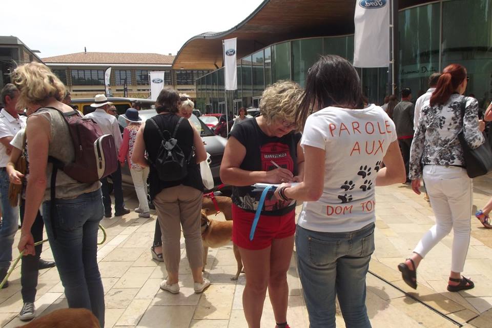 Aix-en-Provence: Un rassemblement pour les chiens et chats des Dom-Tom